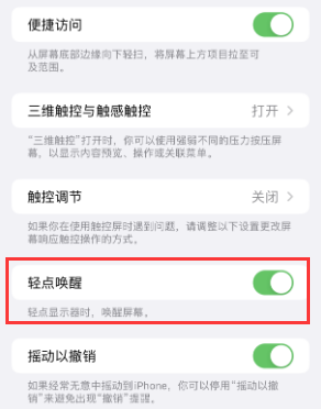 宕昌苹果授权维修站分享iPhone轻点无法唤醒怎么办 