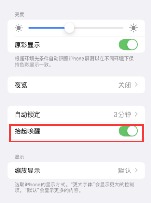 宕昌苹果授权维修站分享iPhone轻点无法唤醒怎么办