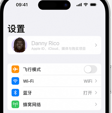 宕昌appleID维修服务iPhone设置中Apple ID显示为灰色无法使用