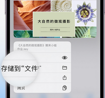 宕昌apple维修中心分享iPhone文件应用中存储和找到下载文件