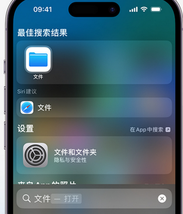 宕昌apple维修中心分享iPhone文件应用中存储和找到下载文件