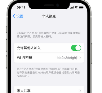 宕昌apple服务站点分享iPhone上个人热点丢失了怎么办