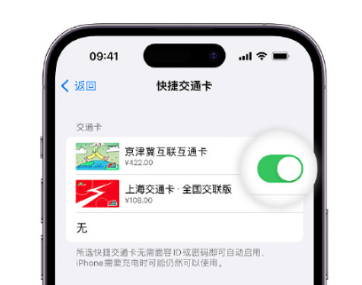 宕昌apple维修点分享iPhone上更换Apple Pay快捷交通卡手绘卡面 