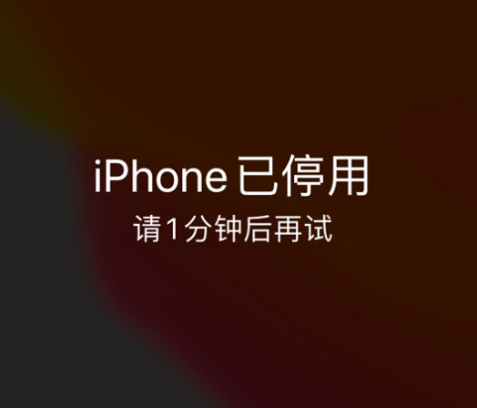 宕昌苹果手机维修分享:iPhone 显示“不可用”或“已停用”怎么办？还能保留数据吗？ 