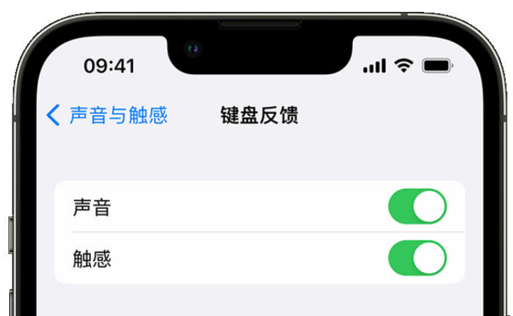 宕昌苹果手机维修分享iPhone 14触感键盘使用方法 