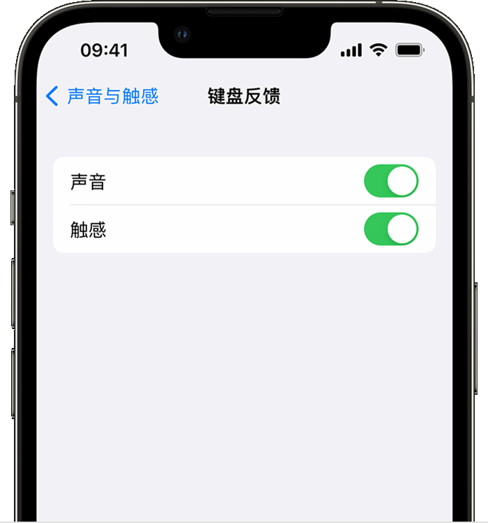 宕昌苹果14维修店分享如何在 iPhone 14 机型中使用触感键盘 