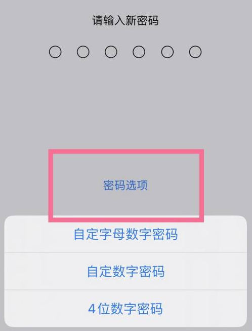 宕昌苹果14维修分享iPhone 14plus设置密码的方法 