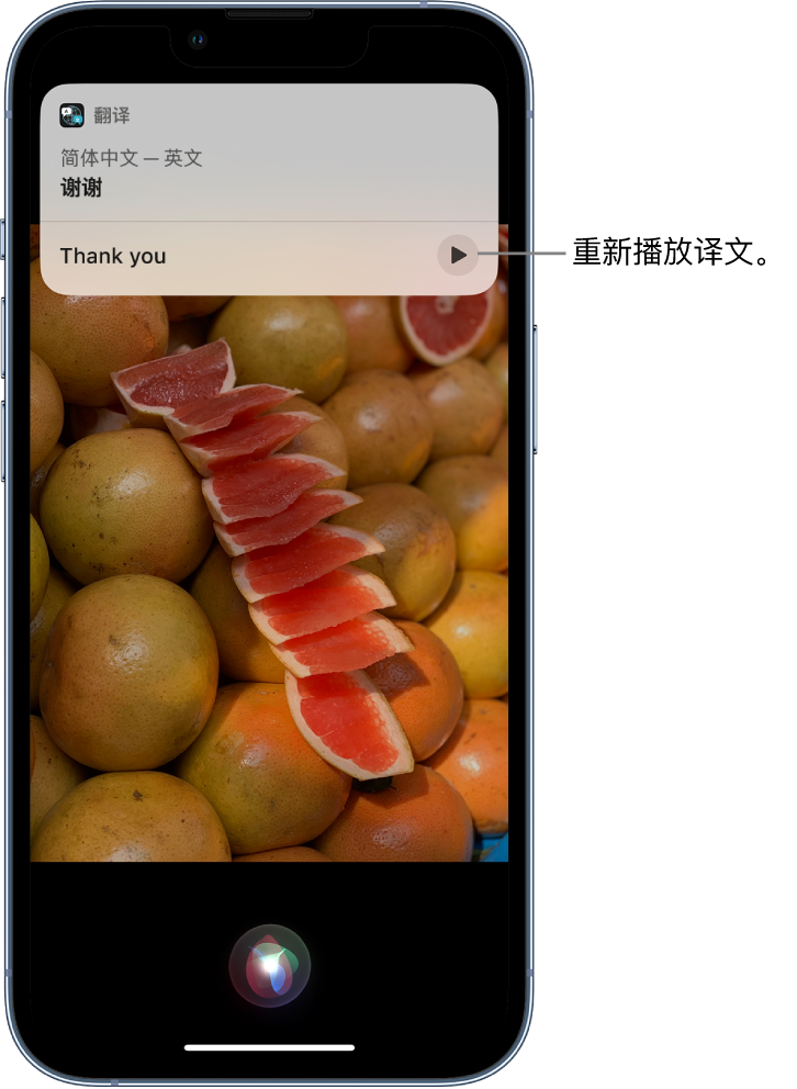 宕昌苹果14维修分享 iPhone 14 机型中使用 Siri：了解 Siri 能帮你做什么 