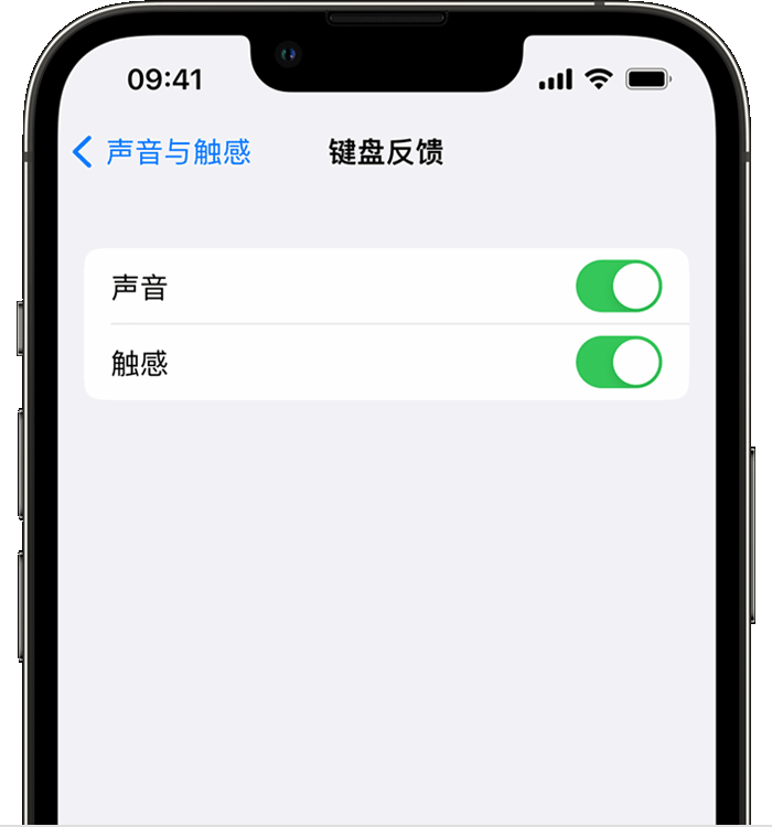 宕昌苹果14维修分享iPhone 14 系列机型如何开启键盘声音或触感反馈 