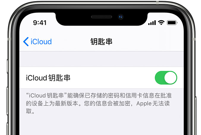 宕昌苹果手机维修分享在 iPhone 上开启 iCloud 钥匙串之后会储存哪些信息 