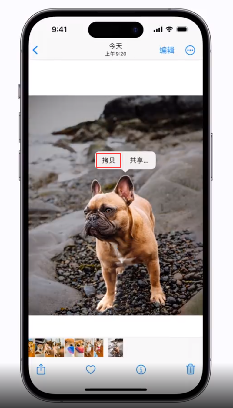 宕昌苹果手机维修分享 iOS 16 自带一键抠图功能 