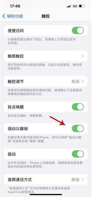 宕昌苹果手机维修分享iPhone手机如何设置摇一摇删除文字 