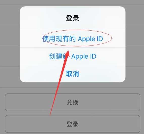 宕昌苹果手机维修分享两台iPhone设备可以同时登录一个Apple ID吗 