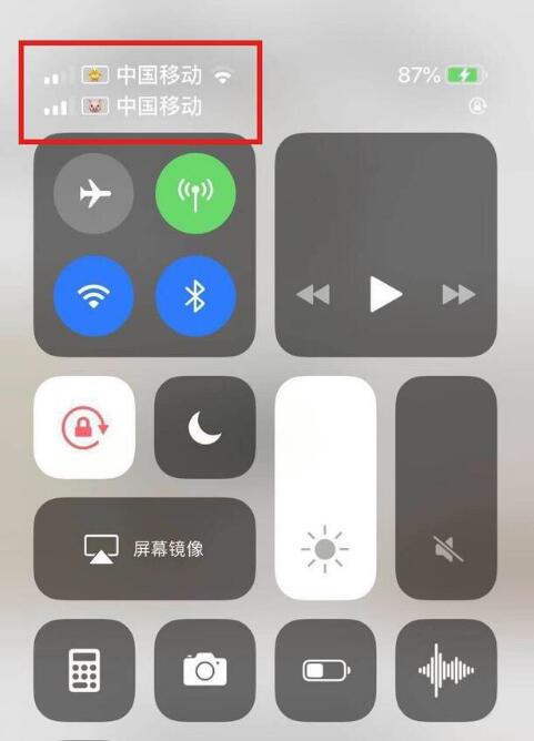 宕昌苹果手机维修分享为 iPhone 12 双卡设置标签 